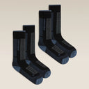 Merinowol skisokken dames 2 - pack medium demping Ski+ | Icebreaker - Socks - Icebreaker - underly